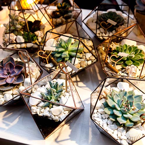 designService-events